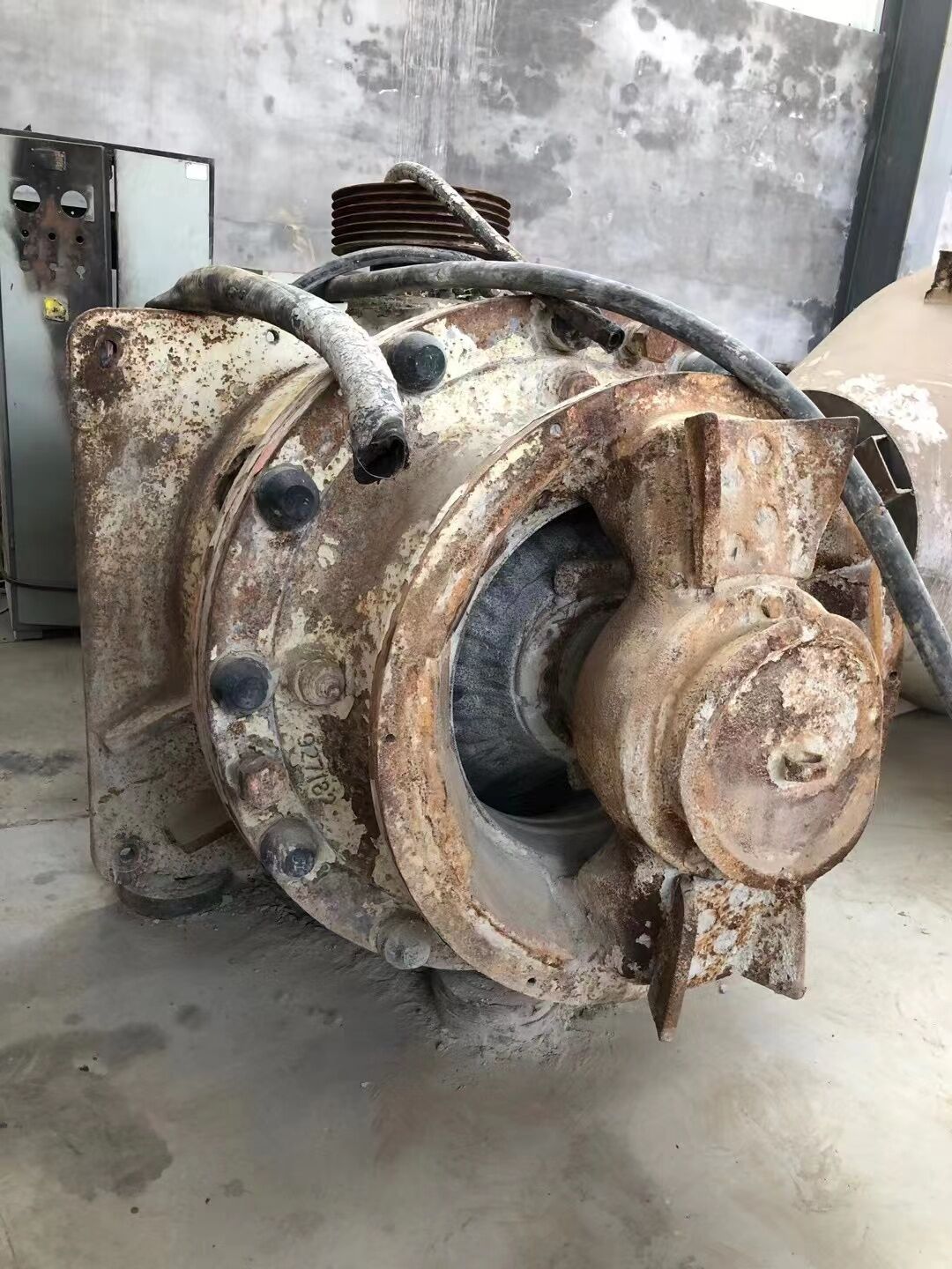 الجذور GP100