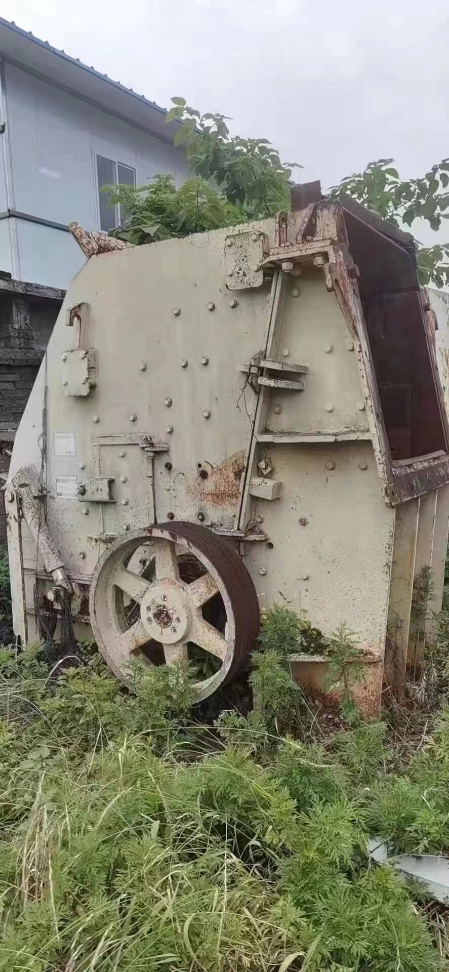 الجذور Np1313