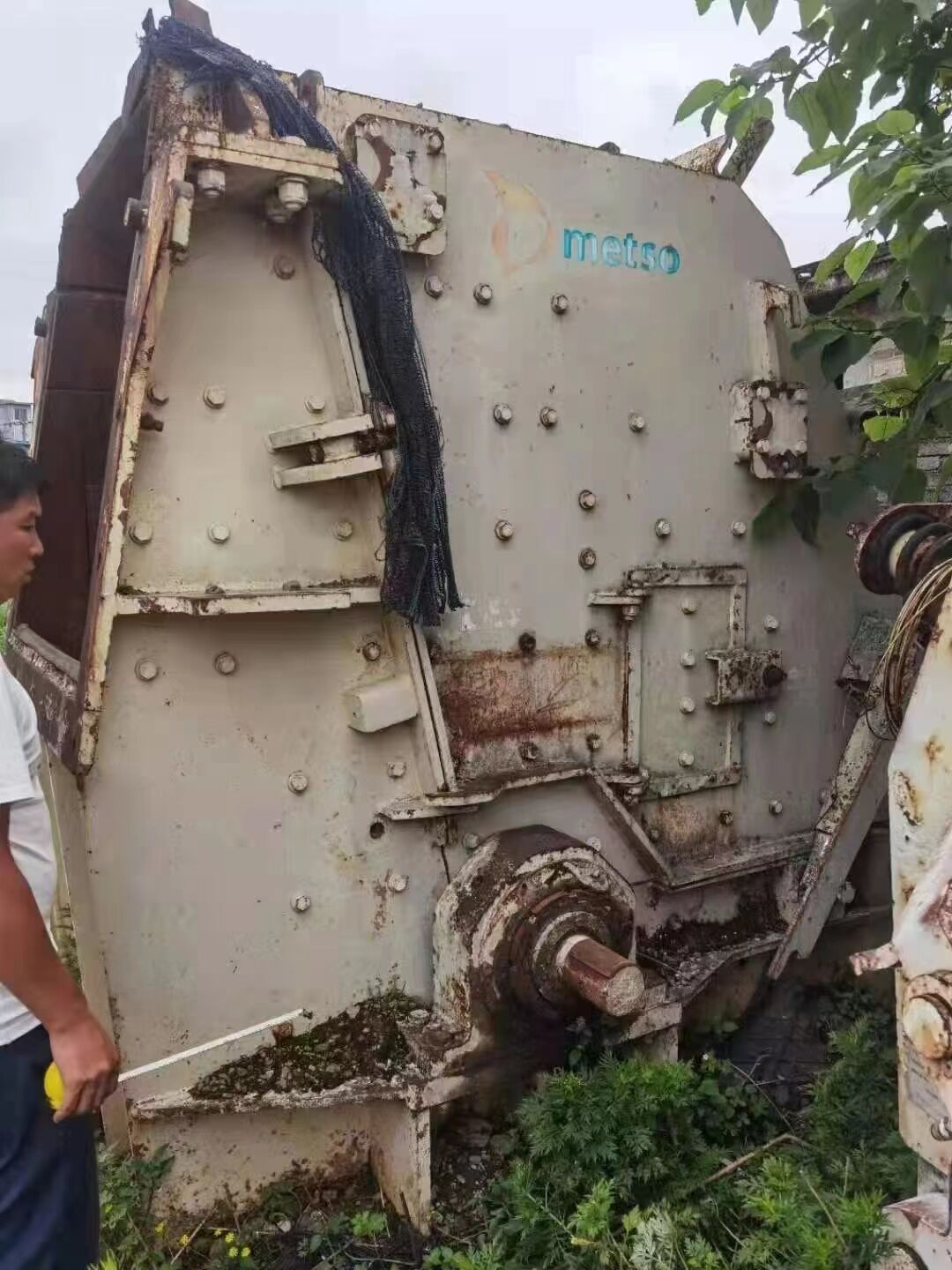 الجذور Np1313