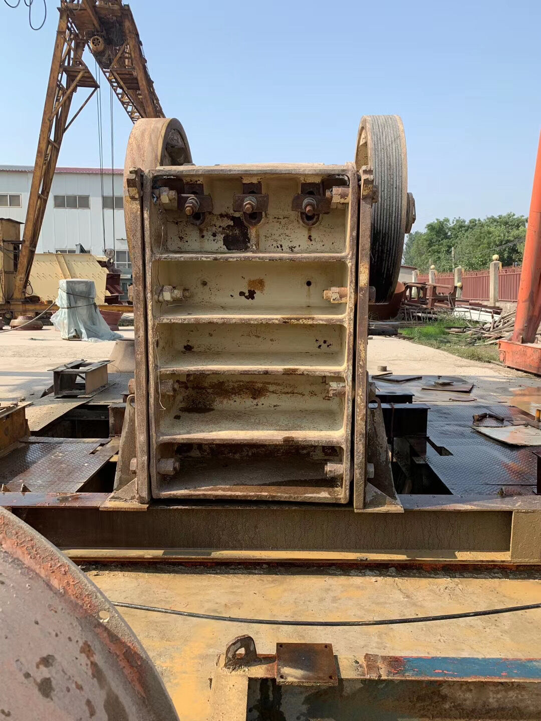 RAÍCES MANDÍBULA C-100