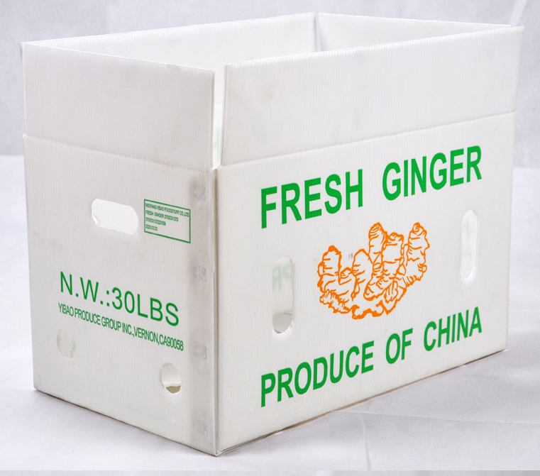 Corrugated Plastic Fruits/ Vegetables Packaging 