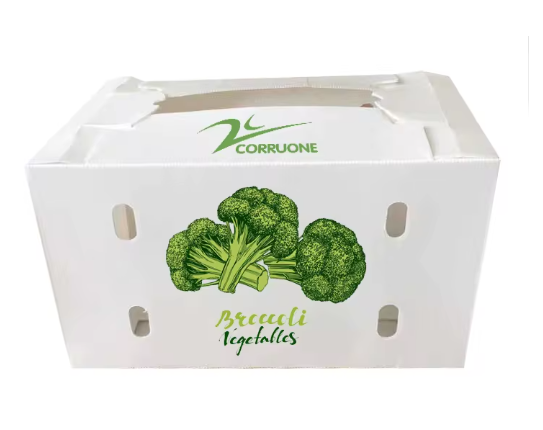 Corrugated Plastic Fruits/ Vegetables Packaging 