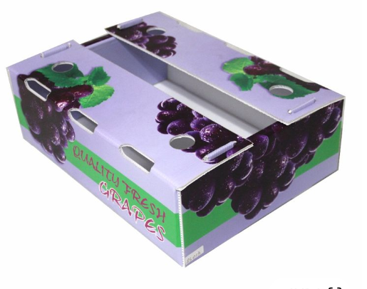 Corrugated Plastic Fruits/ Vegetables Packaging 