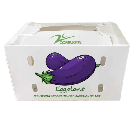 Custom coroplast box for fruits and vegetables