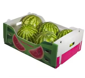 Custom coroplast box for fruits and vegetables
