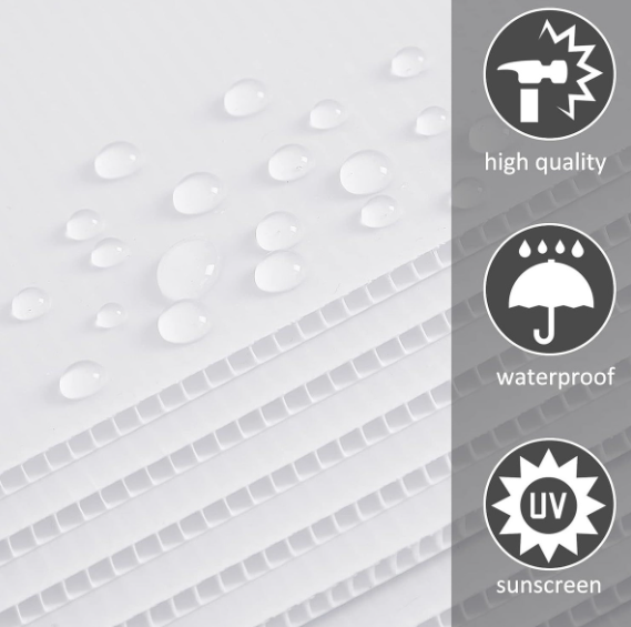 Corrugated Plastic Display Stand 