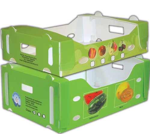 Heavy-Duty Waterproof Fruit Box | Plastic Corrugated Crate