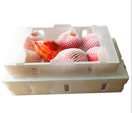 Custom Printed Plastic Fruit Packaging Box Manufacturer