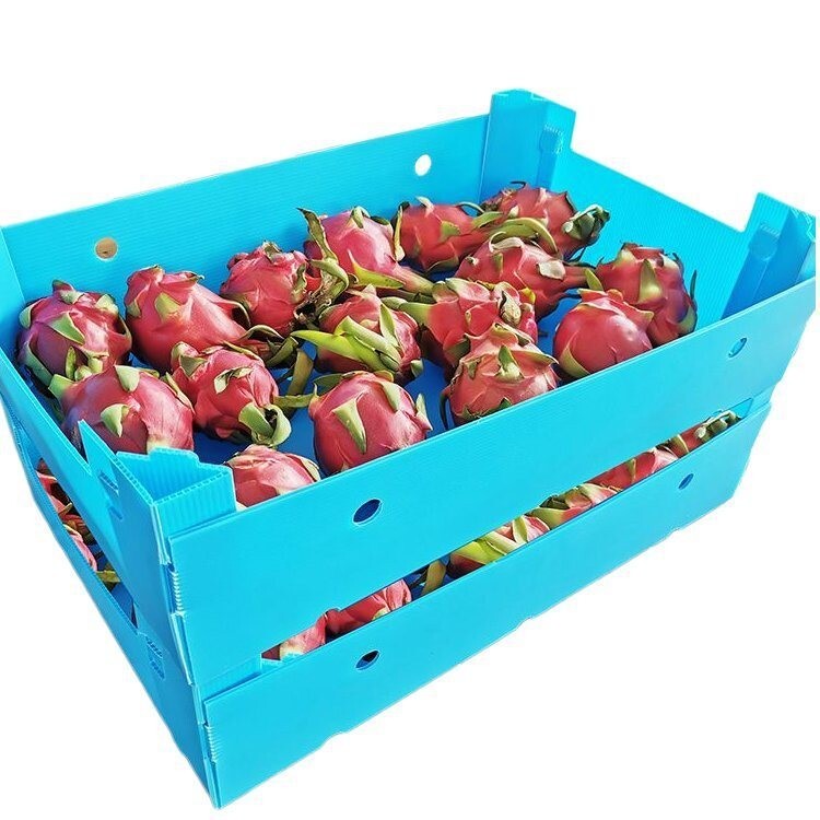 Reusable Plastic Corrugated Fruit Packaging Box Dragon fruit