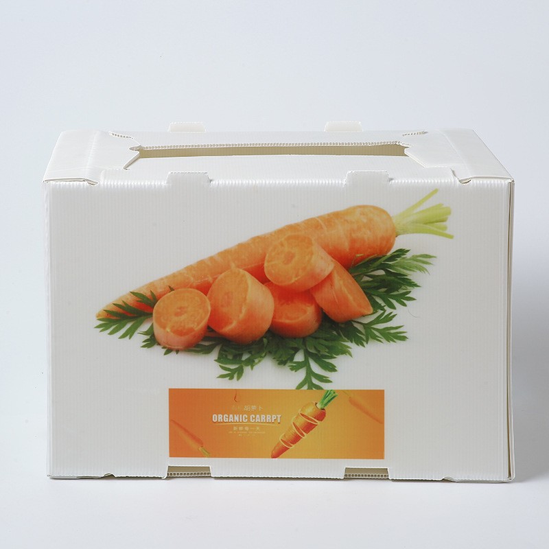 Custom Coroplast Box for Fruits and Vegetables