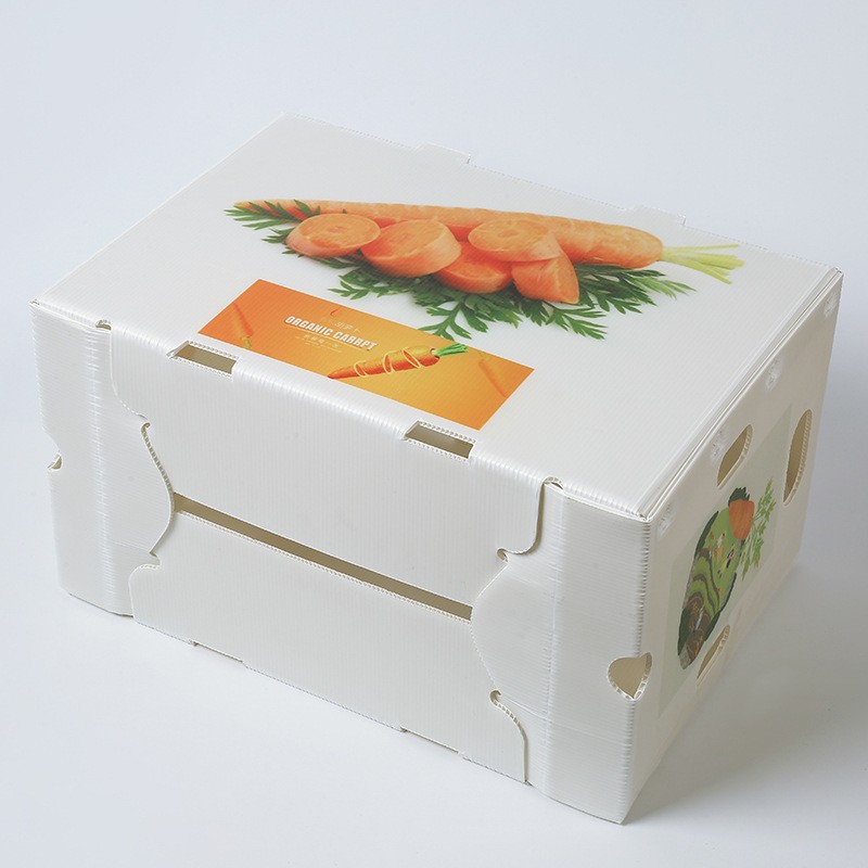 Custom Coroplast Box for Fruits and Vegetables