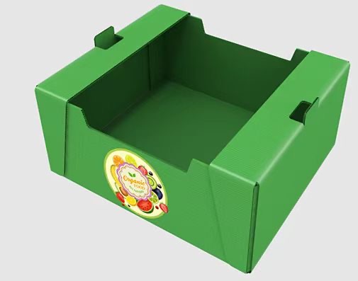 Fruit & Vegetable Export Box made by PP Hollow board