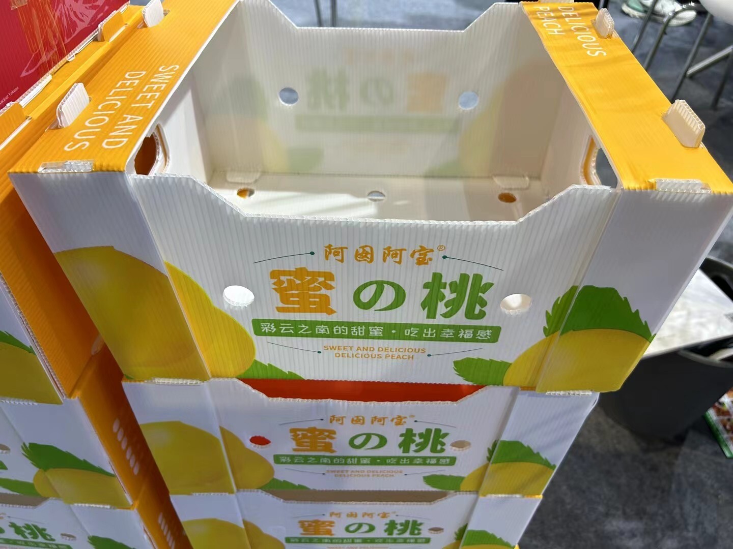 Fruit & Vegetable Export Box made by PP Hollow board