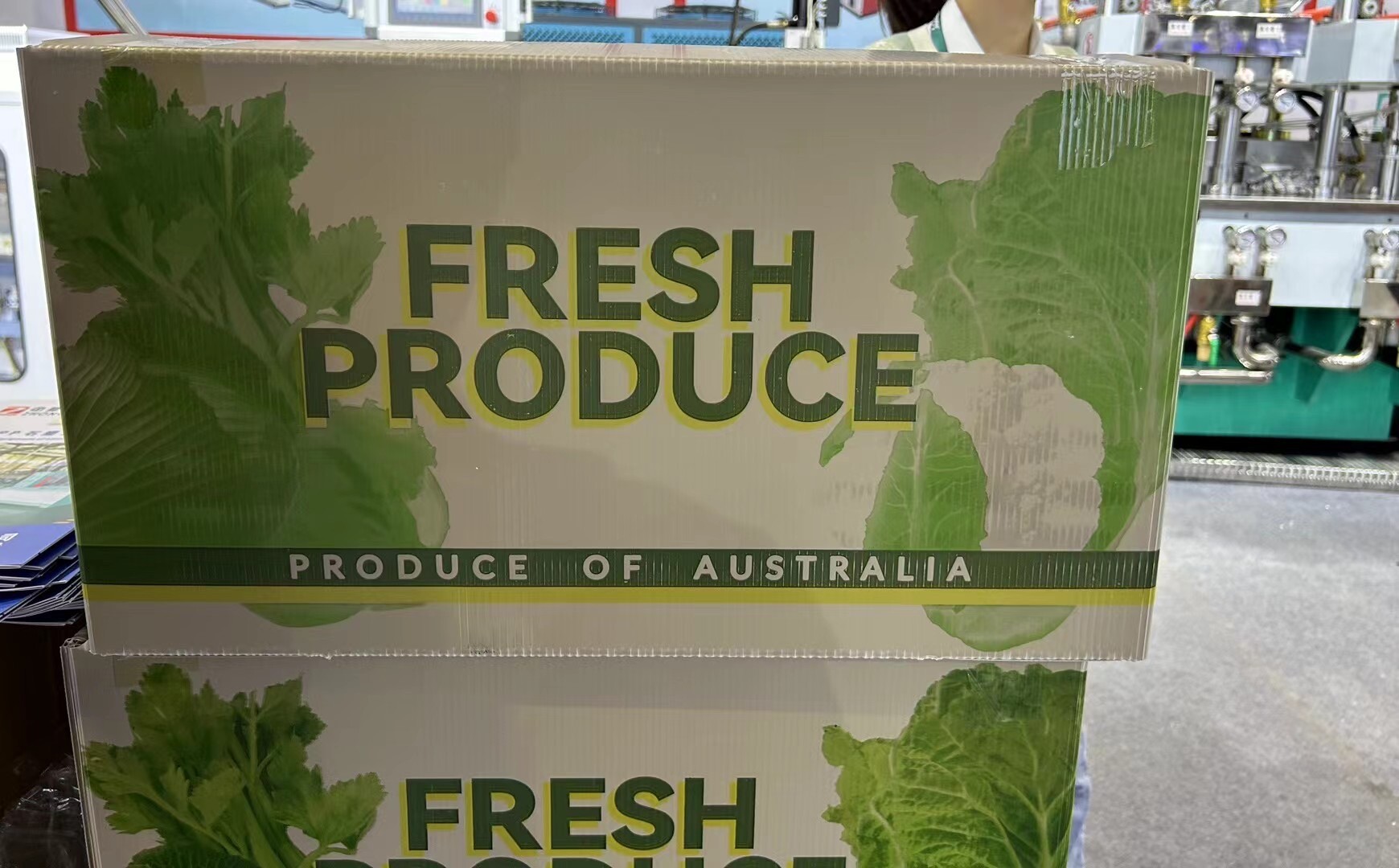 Fruit & Vegetable Export Box made by PP Hollow board