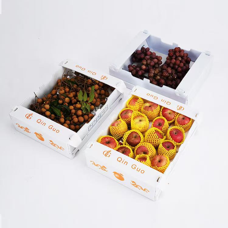 Eco-Friendly Polypropylene Corrugated Boxes – Fresh Fruit Transport Packaging