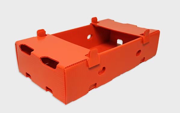 Fruit & Vegetable Export Box made by PP Hollow board