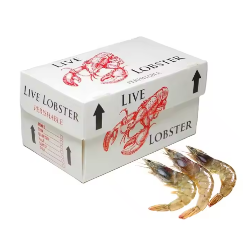 PP material Packing Box used for Frozen Seafood 