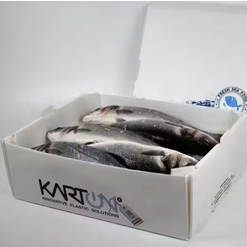 Durable and Hygienic Seafood Packaging Boxes Made from PP Corrugated Plastic Sheets