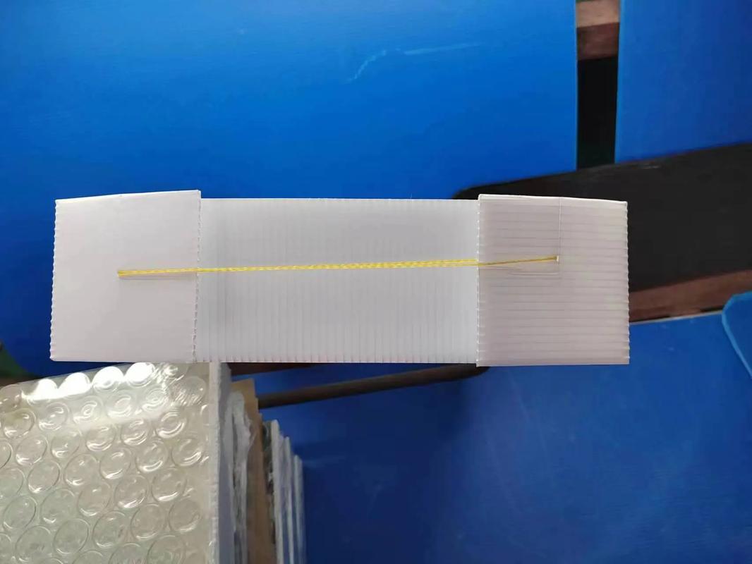 Cold Chain Plastic Box for Frozen Fish