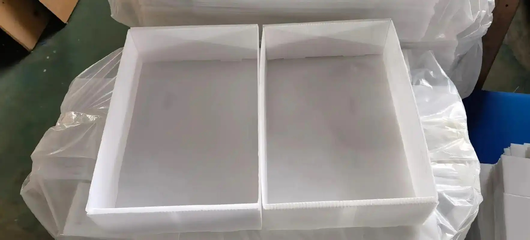 Cold Chain Plastic Box for Frozen Fish