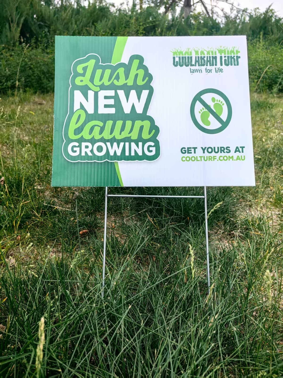 微信图片_2025-06-26_152526_007