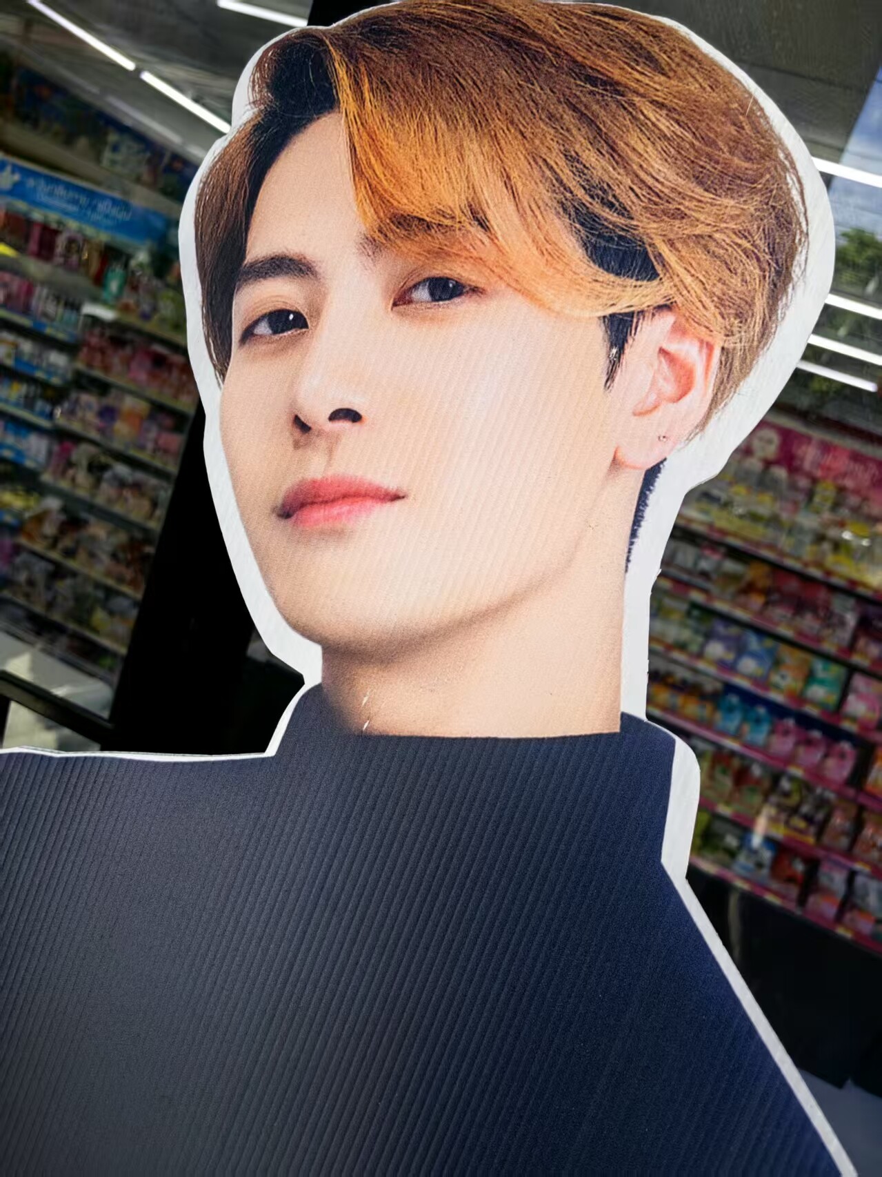 Colorful PP Plastic Corrugated Standee Display Board