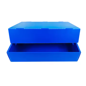 Custom PP Corrugated Seafood Packaging Boxes – Durable and Waterproof Fish Transport Solutions