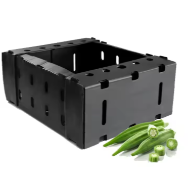 Custom PP Corrugated Plastic Okra Packaging Boxes – Safe Storage & Shipping Solutions