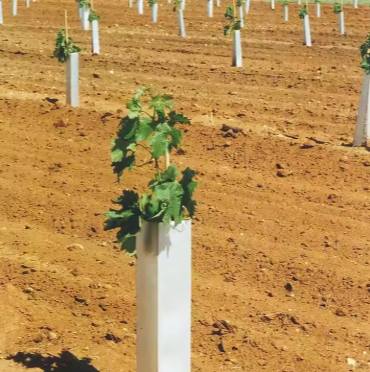 Eco-Friendly Polypropylene Corrugated Tree Shelters – Protective Hollow Sheet Guards for Saplings