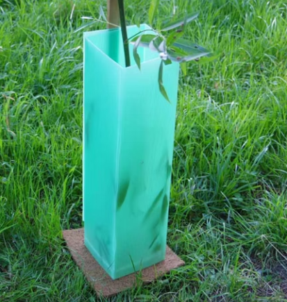 Protective Corrugated Plastic Tree Sleeves – PP Hollow Sheet for Seedlings