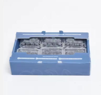 Eco-Friendly Polypropylene Corrugated Boxes – Fresh Fruit Transport Packaging