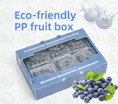 Eco-Friendly Polypropylene Corrugated Boxes – Fresh Fruit Transport Packaging