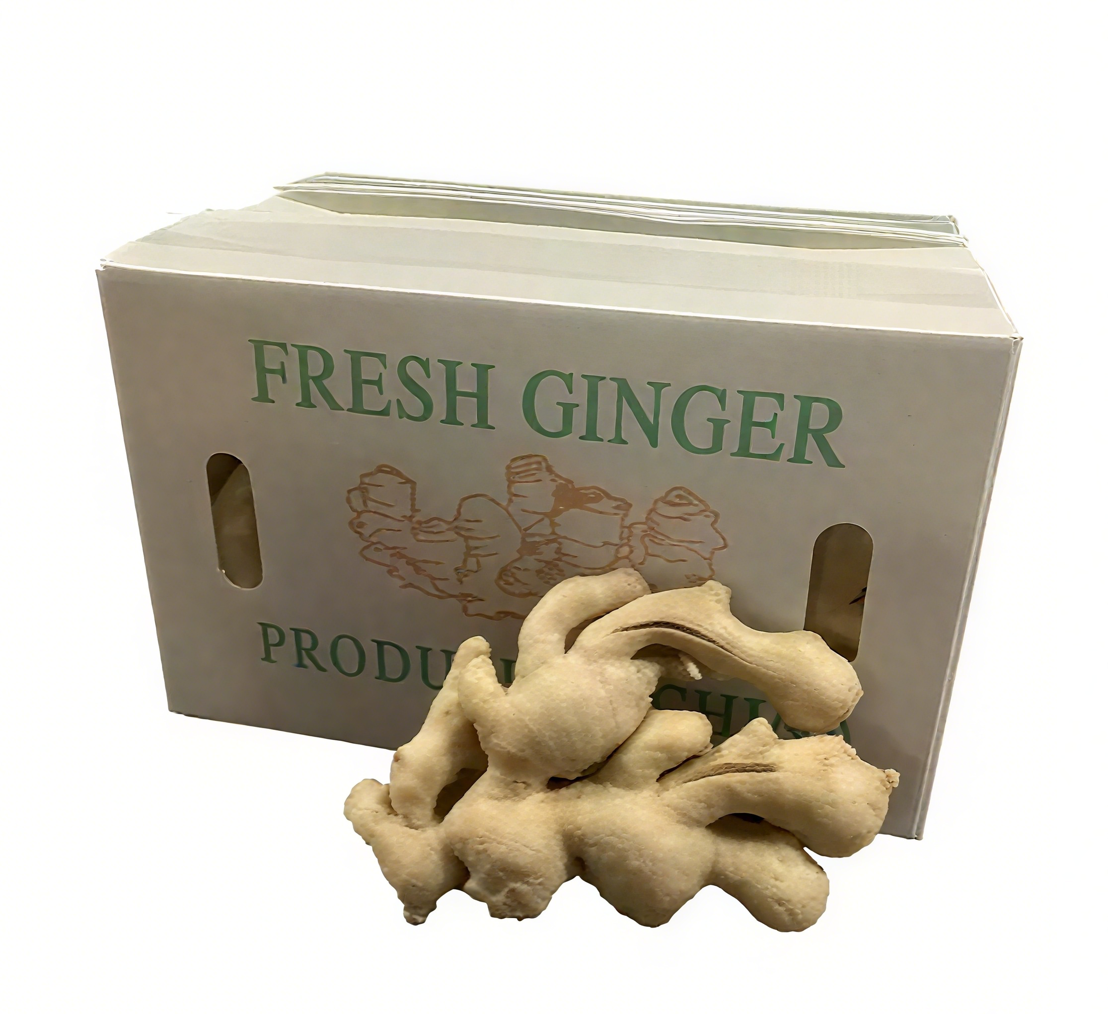 Durable PP Corrugated Plastic Ginger Storage & Transport Boxes – Moisture-Resistant Packaging