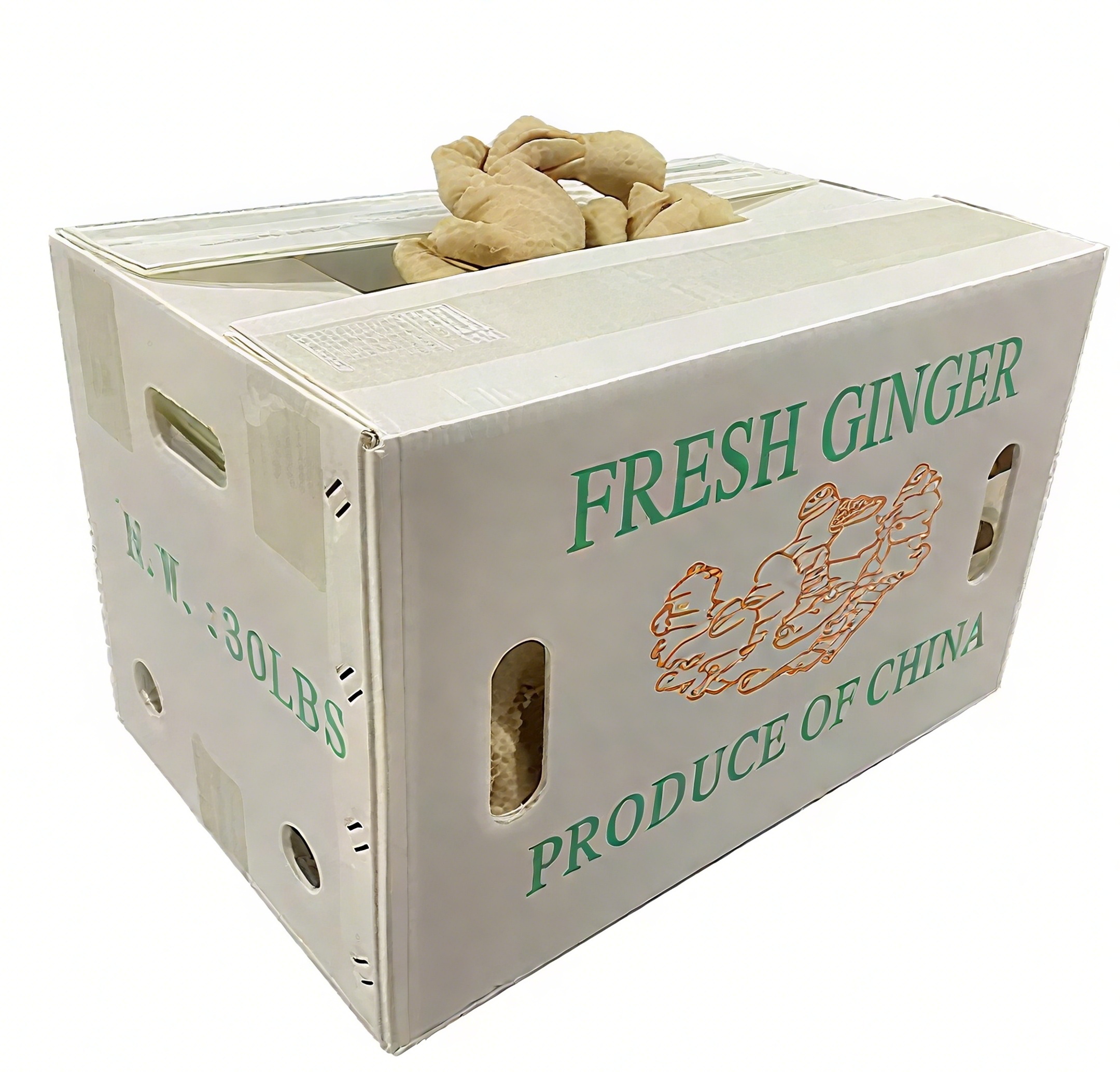 Durable PP Corrugated Plastic Ginger Storage & Transport Boxes – Moisture-Resistant Packaging