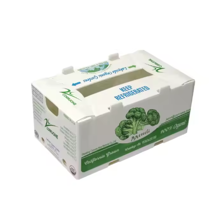 Reusable PP Corrugated Vegetable Packaging Boxes – Lightweight & Moisture-Resistant Produce Crates
