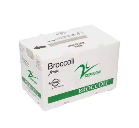 Reusable PP Corrugated Vegetable Packaging Boxes – Lightweight & Moisture-Resistant Produce Crates