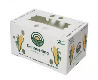 Durable PP Corrugated Agricultural Packaging Boxes – Reusable & Moisture-Resistant Farm Produce Crates