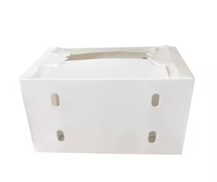Durable PP Corrugated Agricultural Packaging Boxes – Reusable & Moisture-Resistant Farm Produce Crates