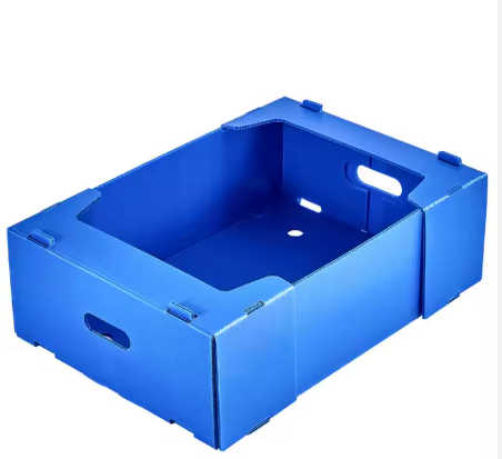 Custom PP Corrugated Plastic Vegetable & Fruit Packaging Boxes – Durable, Waterproof, Reusable Produce Crates