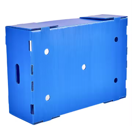 Custom PP Corrugated Plastic Vegetable & Fruit Packaging Boxes – Durable, Waterproof, Reusable Produce Crates