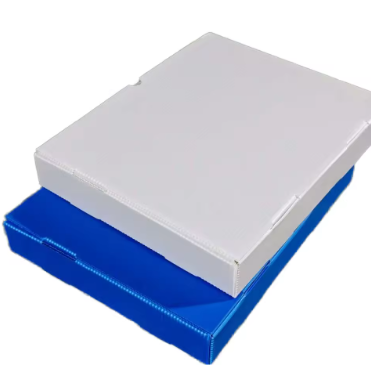 Customizable PP Corrugated Gift Box – Foldable, Waterproof, Promotional Packaging