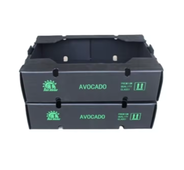 Foldable PP Hollow Sheet Crates – Efficient Avocado Handling & Storage