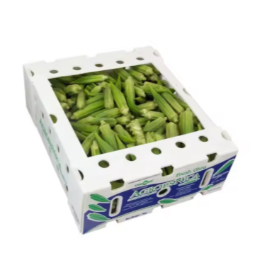 Reusable Corrugated Plastic Foldable Boxes – Eco-Friendly Okra Transport Solutions