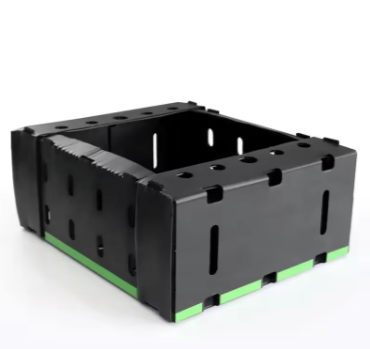 Foldable PP Hollow Sheet Crates – Efficient Avocado Handling & Storage