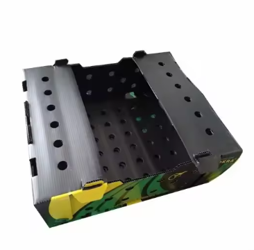 Foldable PP Hollow Sheet Crates – Efficient Avocado Handling & Storage