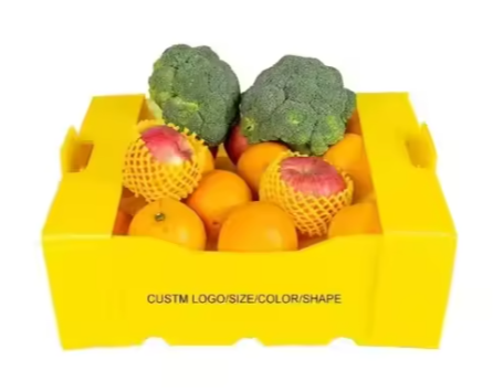 Stackable Corrugated Plastic Fruit Containers – Eco-Friendly & Reusable