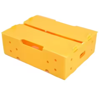 Stackable Corrugated Plastic Fruit Containers – Eco-Friendly & Reusable