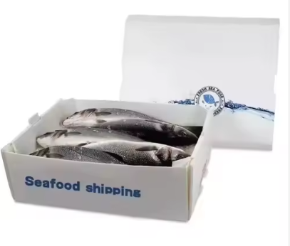 Insulated PP Hollow Sheet Packaging – Durable Solutions for Fresh Seafood