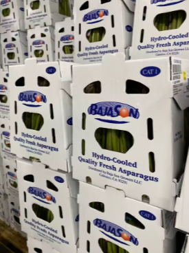 PP Vegetable&Fruit Packing