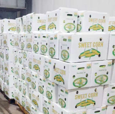 Reusable PP Hollow Packaging Box – Corrugated Plastic Crate for Fruit and Vegetable Transport